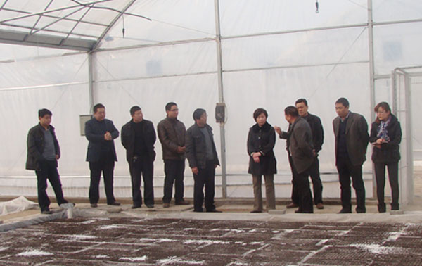 临颍县领导到王孟乡检查指导烟叶生产工作：ag九游会登录j9入口(图1)